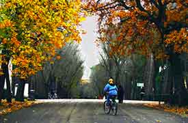 hdr-villa-borghese